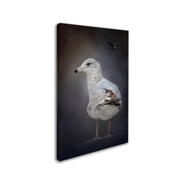 Jai Johnson 'Perched Nearby Gull' Canvas Art,16x24